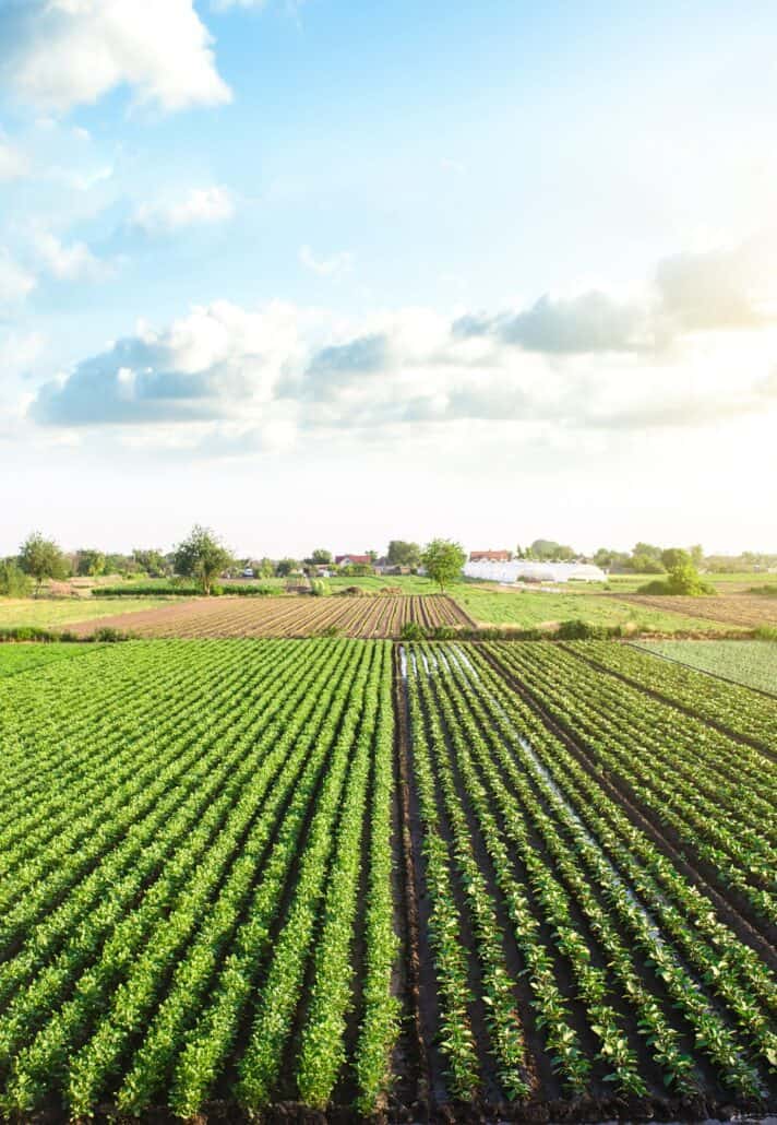 farm