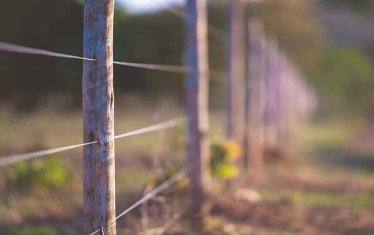 Wire Wooden Fence
