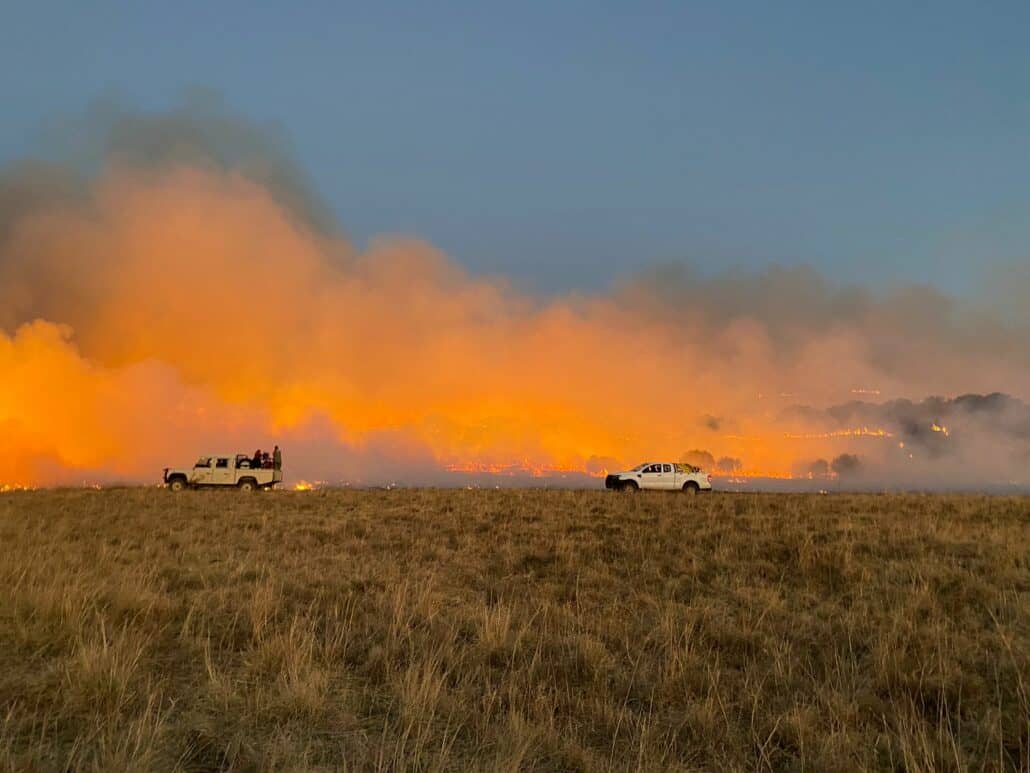 Vehicles and a raging veldfire