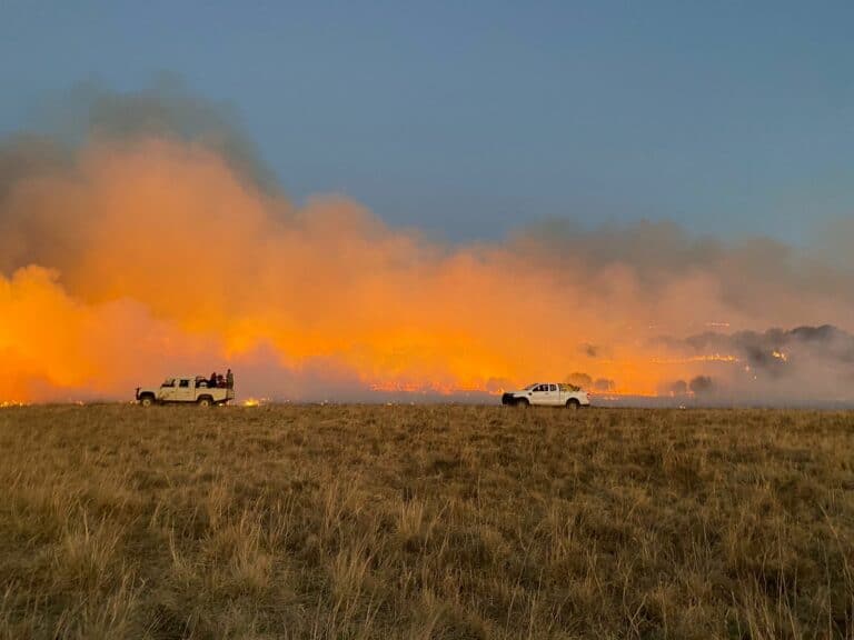 Vehicles and a raging veldfire