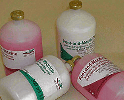 FMD vaccine case goes to court after mediation fails