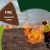 Fire disaster fund